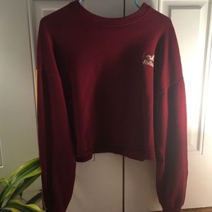Hollister Maroon Cropped Sweatshirt